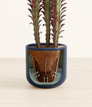 Lade das Bild in den Galerie-Viewer, Twilight Blue stand:all
