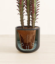 Lade das Bild in den Galerie-Viewer, Stone Black stand:all
