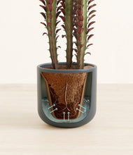 Lade das Bild in den Galerie-Viewer, Iron Gray stand:all
