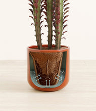 Lade das Bild in den Galerie-Viewer, Glossy Red stand:all
