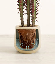 Lade das Bild in den Galerie-Viewer, Almond Green stand:all
