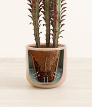Lade das Bild in den Galerie-Viewer, Glossy Pink stand:all
