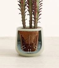 Lade das Bild in den Galerie-Viewer, Turquoise stand:all
