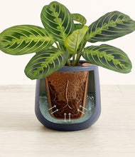 Lade das Bild in den Galerie-Viewer, Deep Navy stand:all

