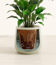 Lade das Bild in den Galerie-Viewer, Turquoise stand:all
