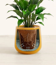 Lade das Bild in den Galerie-Viewer, Mustard stand:all
