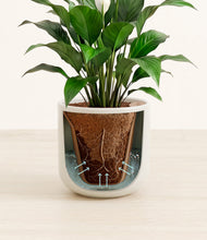 Charger l'image dans la galerie, Cotton White stand:all
