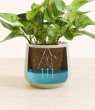 Load image into Gallery viewer, Turquoise
