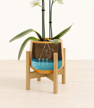 Load image into Gallery viewer, Mustard stand:bamboo
