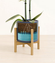 Load image into Gallery viewer, Deep Navy stand:bamboo
