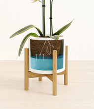 Load image into Gallery viewer, White stand:bamboo
