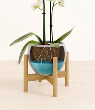 Load image into Gallery viewer, Deep Ocean stand:bamboo
