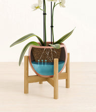 Load image into Gallery viewer, Calm Rose stand:bamboo
