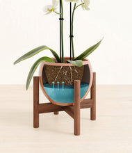 Load image into Gallery viewer, Calm Rose stand:walnut
