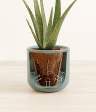 Load image into Gallery viewer, Reactive Aqua stand:all
