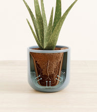 Load image into Gallery viewer, Misty Blue stand:all
