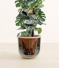 Lade das Bild in den Galerie-Viewer, Sandy Pink stand:all
