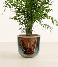 Load image into Gallery viewer, Sage Green stand:all

