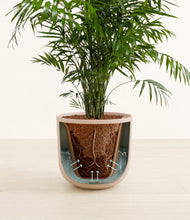 Load image into Gallery viewer, Sandy Pink stand:all
