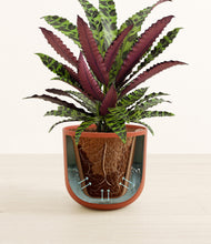 Load image into Gallery viewer, Earth Red stand:all

