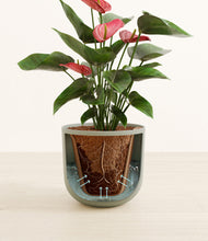 Load image into Gallery viewer, Sage Green stand:all
