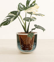 Load image into Gallery viewer, Natural Bamboo stand:all
