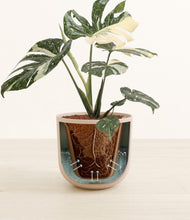 Load image into Gallery viewer, Sandy Pink stand:all
