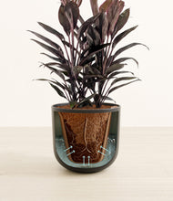 Load image into Gallery viewer, Stone Black stand:all
