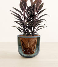 Load image into Gallery viewer, Iron Gray stand:all
