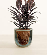 Load image into Gallery viewer, Sage Green stand:all
