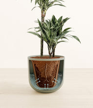 Load image into Gallery viewer, Sage Green stand:all

