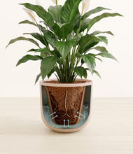 Load image into Gallery viewer, Sandy Pink stand:all
