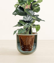 Lade das Bild in den Galerie-Viewer, Sage Green stand:all
