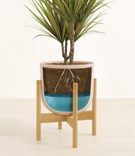 Load image into Gallery viewer, Sandy Pink stand:bamboo

