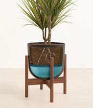 Load image into Gallery viewer, Stone Black stand:walnut
