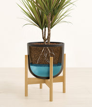 Load image into Gallery viewer, Stone Black stand:bamboo
