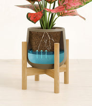 Load image into Gallery viewer, Olive stand:bamboo

