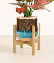 Load image into Gallery viewer, Gentle Pink stand:bamboo
