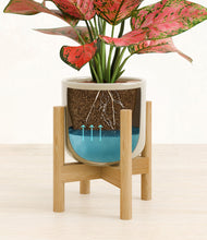 Load image into Gallery viewer, Sage Green stand:bamboo
