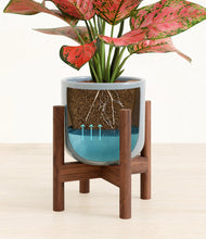 Load image into Gallery viewer, Misty Blue stand:walnut
