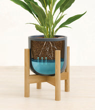 Load image into Gallery viewer, Iron Gray stand:bamboo
