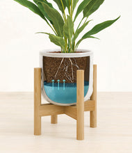 Load image into Gallery viewer, Hammered Ivory stand:bamboo
