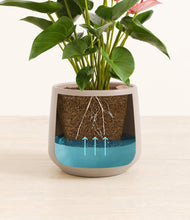 Load image into Gallery viewer, Eternal Gray
