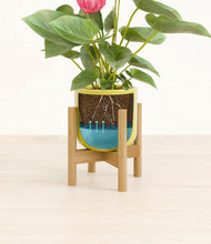 Load image into Gallery viewer, Key Lime Yellow stand:bamboo
