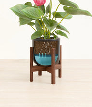 Load image into Gallery viewer, Stone Black stand:walnut
