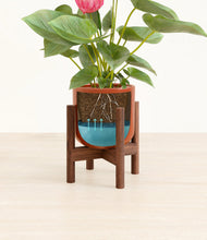 Load image into Gallery viewer, Glossy Red stand:walnut
