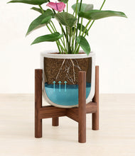 Lade das Bild in den Galerie-Viewer, Hammered Ivory stand:walnut
