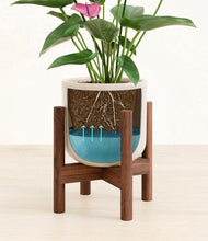 Lade das Bild in den Galerie-Viewer, Snowdrift White stand:bamboo
