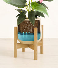 Load image into Gallery viewer, Almond Green stand:bamboo
