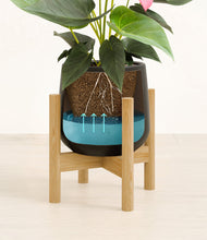 Load image into Gallery viewer, Black stand:bamboo
